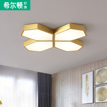 Hilton brass Nordic bedroom led ceiling light living room home net red creative personality lamps modern simplicity