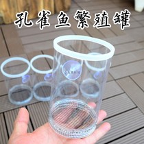 Guppy fish breeding box fish tank isolation net birth tank production box mother fish raw small fish separation delivery room large hatching net