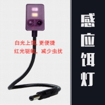 Night Fishing Bait lamp USB Induction Bait Light 5 5 Round Head Fishing Bait Light Plug-in Fishing Case Fishing Chair Holder Three-foot Kickstand