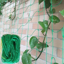 Gardening Climbing net Grape Cucumber Plant Climbing Rattan Net Enhanced Edition Nylon Net Morning Glory Climbing Net Home