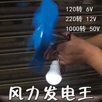 Small micro wind power generation outdoor 6v12v24v50v high power motor hand power generation emergency power supply