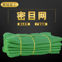 Building safety net Flame retardant mesh net Vertical net Engineering elevator entrance protection net Green net dust net Site cover net