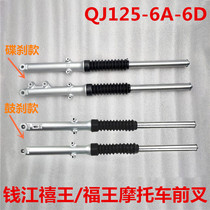 Suitable for Qianjiang Motorcycle Xi King QJ125-6A 150-12 Xianglong 125-27 front shock absorber front fork