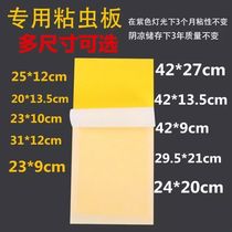Sticky Fly Killer Lamp Special Sticky Fly Paper Sticky Insect plate Fly Paper Mosquito Stick Fly Cardboard Disenchanted Mosquito lamp Sticky Fly Insect