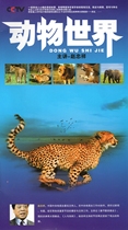 CCTV Zhao Zhongxiang commentary animal World dvd disc 204 complete set clear edition DVD disc