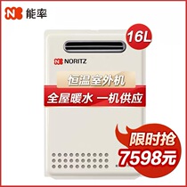 Energy rate JSW31-D2 constant temperature 16 liters outdoor gas water heater natural gas anti-freeze strong discharge