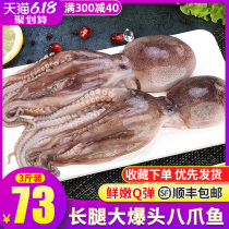 Fresh octopus with big head, deep sea frozen cuttlefish with whole long legs, eight Octopus feet, eight belts, fresh aquatic products