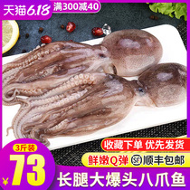 Fresh octopus with big head, deep sea frozen cuttlefish with whole long legs, eight Octopus feet, eight belts, fresh aquatic products
