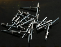 Stainless steel blind rivets galvanized round head pull nail decoration M3 2 4 4 8 6 4 factory direct sales