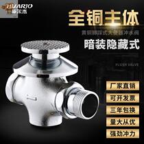 Copper foot squatting toilet flusher concealed pedal flush valve stool squat pit delay valve h857