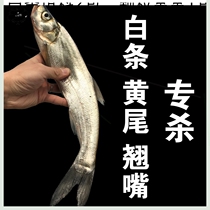  Thick Fishy Reservoir Fish Bait Stock Mouth Special Fishing Fishing Recipe White Bar Red Yellow Speed Fishing Water Fish String Hook Teething End White