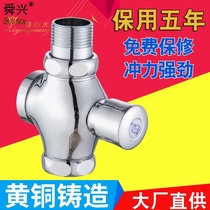 Toilet flush valve hand-press switch delay valve four-way squat toilet flush valve accessories stool all copper toilet