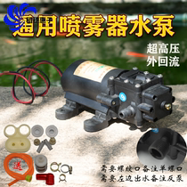 Huyue electric sprayer water pump 12v Motor high pressure double pump diaphragm pump small spray pump self-priming