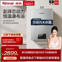 Inne Gas Water Heater D31 The Same Natural Gas Home Thermostatic Strong Row Type Large Water Volume Official Flagship D32