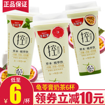 Shenghe Tang Herbal jelly Milk Tea Control small fresh extract can suck 3 cups of jelly cool instant jelly pudding snacks and drinks