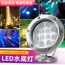 Fish pond lights fountain lights led outdoor waterproof colorful underwater stainless steel atmosphere full color pool spotlight