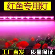 Yitesheng red fish lamp enhanced waterproof led fish tank lamp lighting Red Dragon arhart color parrot fish special lamp