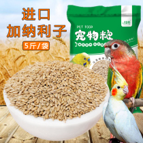 Hyun material imported Ghanaian Lizi tiger skin Parrot bird food Xuanfeng feed oil tip white tip millet grass seed bird food