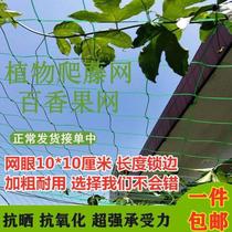 Climbing rattan monthly traction net Climbing rattan net Flowers green dill vine plant climbing net Rack net Passion fruit vegetable climbing