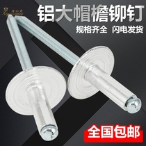 Big cap rivets aluminum round head large cap cored rivets large head pull nails flat head car rivets