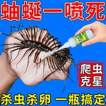 Wearing insecticide to kill money-string household indoor insecticide insect repellent powder to prevent grass soles polywormworm artifact
