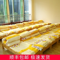 Six pieces of cotton for nursery entrance mattress pillow for three pieces of nap are washed in winter and summer with all cotton