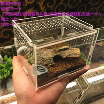 Acrylic feeding box box reptile box crawling box crawling box Spider lizard beetle guard box pet snake box