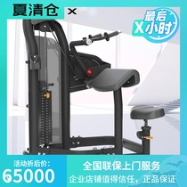 American Qiao Shan MATRIX triceps stretch training machine G3-S45 gym strength fitness equipment