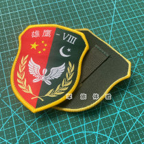 Chapter of China-Pakistan Joint Strategy Commemorates the Badge Arms Hanging Support Customized Team Mark
