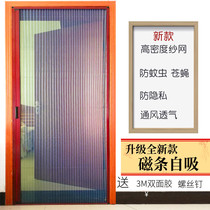 Invisible gauze door aluminium alloy anti-mosquito window screen door Bedroom Living room Winking-style push-pull folding telescopic free of punch