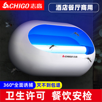 Zhigao Drosophila light Shop Shop with hanging wall Commercial Sticky Trap Mosquito kitchen wall-mounted Fly Deity Trap