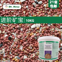 Long Feier pigeon food pigeon carrier pigeon health care sand species young pigeon health care sand magic treasure whole mineral advanced ore treasure 10KG