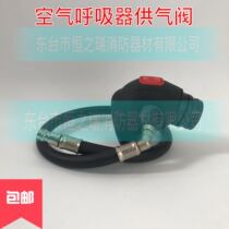 POSITIVE PRESSURE AIR RESPIRATOR ACCESSORIES UNIVERSAL INTERFACE AIR SUPPLY VALVE RHZKF6 8 5 6 30MPA AIR SUPPLY PIPE