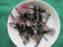 Hainan Wuzhishan Qiongzhong Ganoderma lucidum pure wild black bamboo Ganoderma lucidum Purple Bamboo Ganoderma lucidum 250g