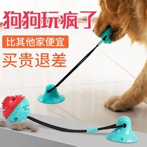 Dog Toy Suction Cup Rally Ball Large Dog Bite Resistant Teeth Relief Boredom Artifact Bianmu Golden Retriever Dog Bite Pet Supplies
