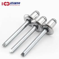 Rivets rivets 304 stainless steel blind rivets round heads pull nails nails pumps cored decoration m3 2m4m5
