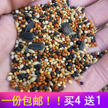Parrot feed bird grain millet with Shell bird food tiger skin food tiger skin food Xuanfeng oil sunflower peony grain mixed grain 450g