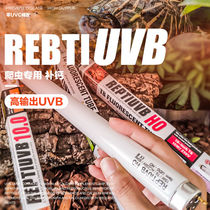 REBTIUVB HO professional succulent reptiles calcium UVB tube beyond 10 0 T815W DH5 0