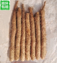 Asan medicine with box 5 kg of fresh vegetables hairy yam