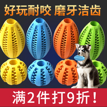 Dog toy golden retriever elastic ball big dog bite-resistant ball ball training dog bite large dog molar stick pet supplies
