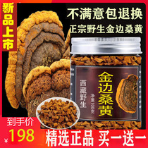 The efficacy of Phellinus yellow wild Super Tibet Autonomous Region Mulberry Ganoderma lucidum Tongrentang Phnom Penh tea is not 500g
