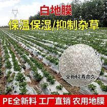 Mulch Agricultural white film Transparent mulch vegetable garden greenhouse Plastic film Special film Nursery white insect and cold black