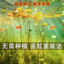 Fish tank decoration simulation water grass aquarium landscaping package soft water grass plastic grass Rear View large high green grass