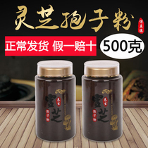 Changbai Mountain Ganoderma lucidum spore powder 500g head Road Ganoderma lucidum spore powder bulk spore gift box Linzhi powder