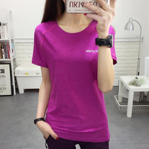 Womens quick-drying clothes short sleeve set summer light and breathable slim thin half-sleeve outdoor mountaineering fast pants