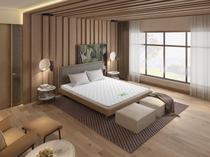 Suibao official mattress 3D clean ridge protection coconut palm 1.8m customized Nanhai coconut song 5C