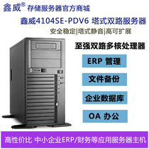 Dual Xeon E5 tower ERP database server host Xinwei XWStor 4104SE-PDV6