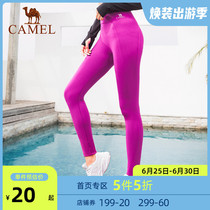 Clearance special sale camel sports knitting pants, breathable, soft, waistless, comfortable running pants, female