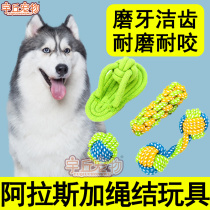 Alaska special knot toy ball with rope set of bite-resistant molars artifact puppies large dog supplies