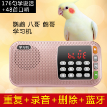 Bird uses parrot learning to speak machine Eight-brother learnio Learn more about Xuanfeng Red-reading whistleblower teaching speech training Learn more